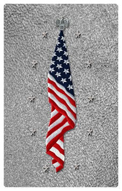 DNSHERT-C-421-SH-SL Flag at Rest Shimmer Silver